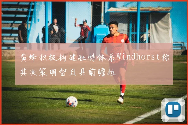 黄蜂积极构建独特体系Windhorst称其决策明智且具前瞻性
