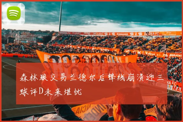 森林狼交易兰德尔后锋线崩溃迎三球评D未来堪忧